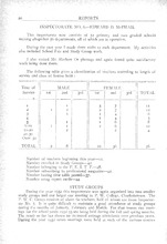 3871_OBJ-Thumbnail Image.jpg