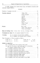 38968_OBJ-Thumbnail Image.jpg