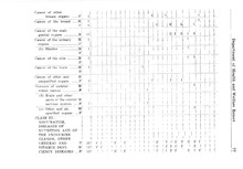 40432_OBJ-Thumbnail Image.jpg