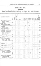 40558_OBJ-Thumbnail Image.jpg