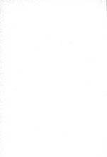 4067_OBJ-Thumbnail Image.jpg