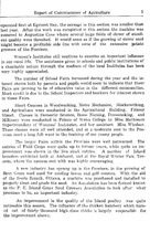 40892_OBJ-Thumbnail Image.jpg