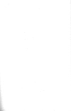 43295_OBJ-Thumbnail Image.jpg