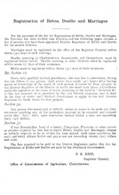 44195_OBJ-Thumbnail Image.jpg