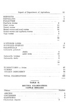 44257_OBJ-Thumbnail Image.jpg