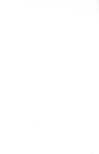 44633_OBJ-Thumbnail Image.jpg