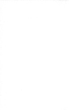 4505_OBJ-Thumbnail Image.jpg