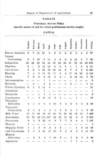 45431_OBJ-Thumbnail Image.jpg