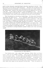 45453_OBJ-Thumbnail Image.jpg