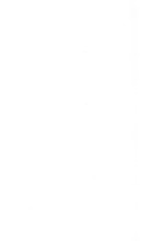 49952_OBJ-Thumbnail Image.jpg