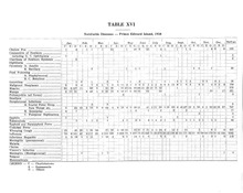 51538_OBJ-Thumbnail Image.jpg