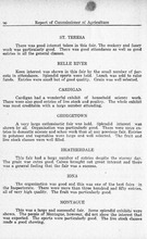 52596_OBJ-Thumbnail Image.jpg
