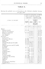 53331_OBJ-Thumbnail Image.jpg