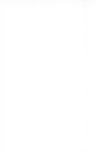 53702_OBJ-Thumbnail Image.jpg