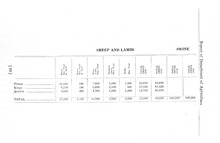 54605_OBJ-Thumbnail Image.jpg