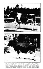 5462_OBJ-Thumbnail Image.jpg