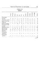 57204_OBJ-Thumbnail Image.jpg