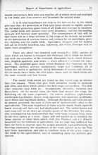 57991_OBJ-Thumbnail Image.jpg