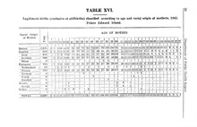 58922_OBJ-Thumbnail Image.jpg
