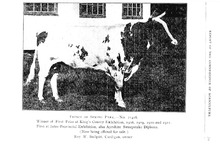 59230_OBJ-Thumbnail Image.jpg