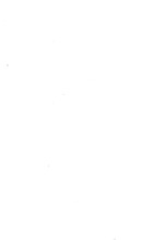 61626_OBJ-Thumbnail Image.jpg