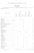 62289_OBJ-Thumbnail Image.jpg