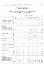 66296_OBJ-Thumbnail Image.jpg