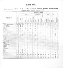 66829_OBJ-Thumbnail Image.jpg