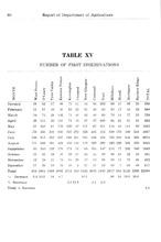 67441_OBJ-Thumbnail Image.jpg
