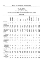 67784_OBJ-Thumbnail Image.jpg