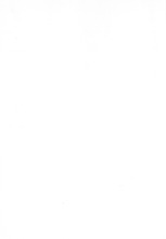 67847_OBJ-Thumbnail Image.jpg