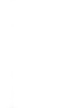 6842_OBJ-Thumbnail Image.jpg