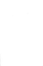 68452_OBJ-Thumbnail Image.jpg