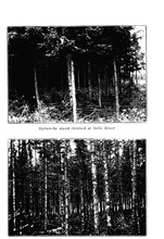 68988_OBJ-Thumbnail Image.jpg
