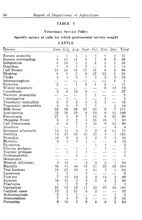 69293_OBJ-Thumbnail Image.jpg