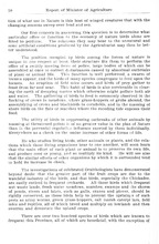 70467_OBJ-Thumbnail Image.jpg