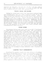 71783_OBJ-Thumbnail Image.jpg