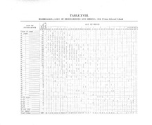 71958_OBJ-Thumbnail Image.jpg