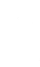 73237_OBJ-Thumbnail Image.jpg