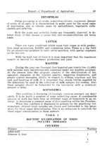 73498_OBJ-Thumbnail Image.jpg