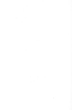 781_OBJ-Thumbnail Image.jpg
