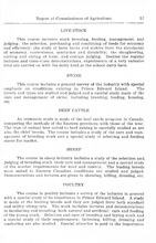 7840_OBJ-Thumbnail Image.jpg