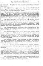 7857_OBJ-Thumbnail Image.jpg