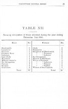 91_OBJ-Thumbnail Image.jpg